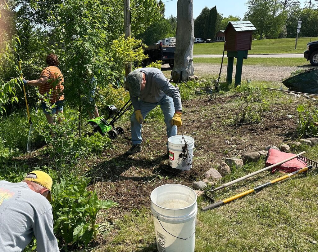 Volunteers planting a shoreline restoration garden