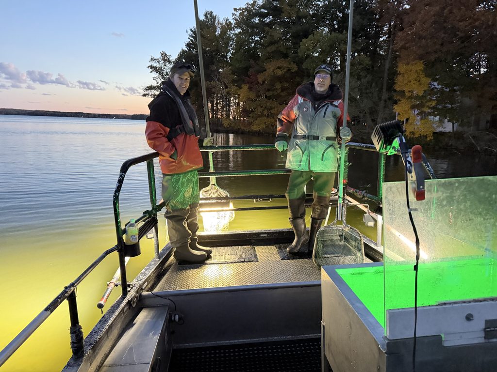 DNR on their boat in Pelican Lake, doing thier fall electroschoking. 